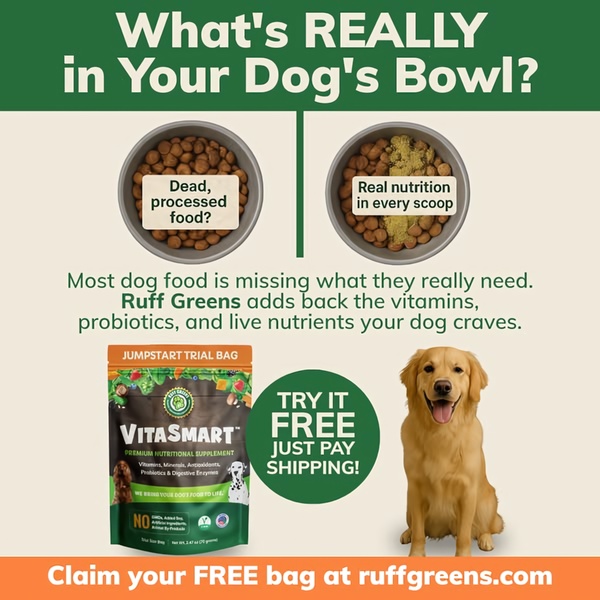 A split-screen comparison showing processed dog food versus a supplemented bowl, highlighting the nutritional value of adding health boosters.